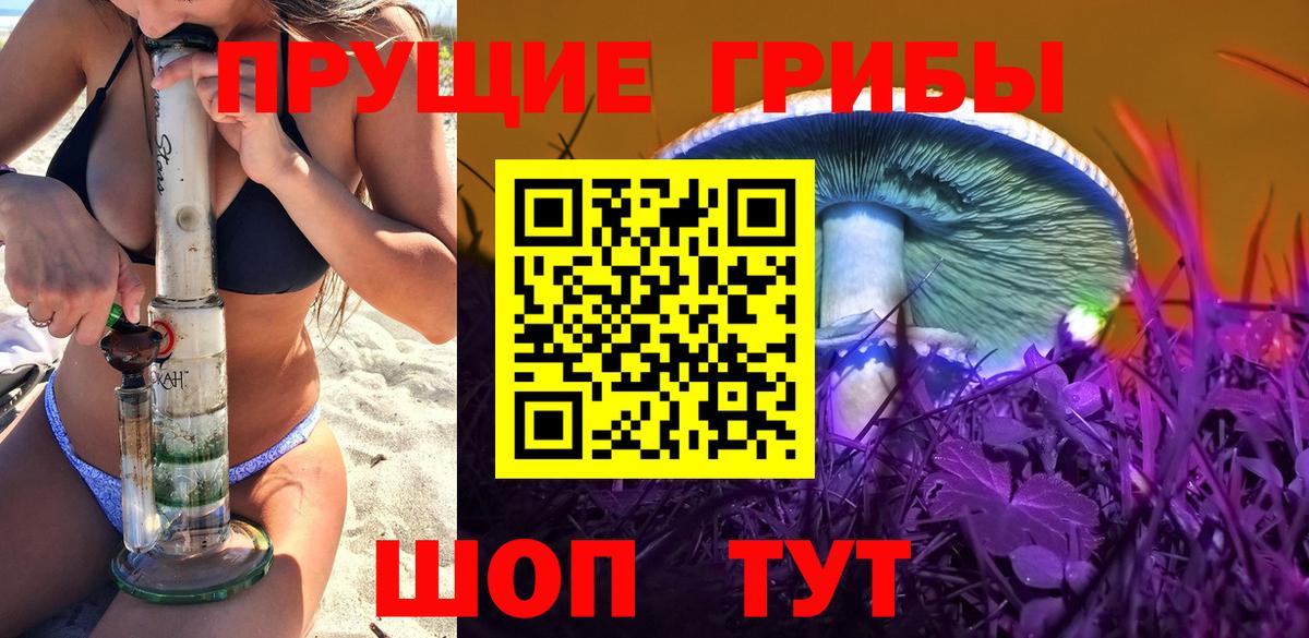Ачхой-Мартан  Псилоцибиновые грибы ЛСД  Вход с VPN 