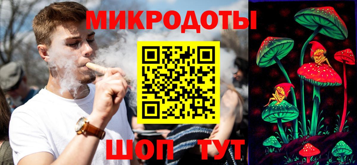 Псилоцибиновые грибы Cubensis Ачхой-Мартан
